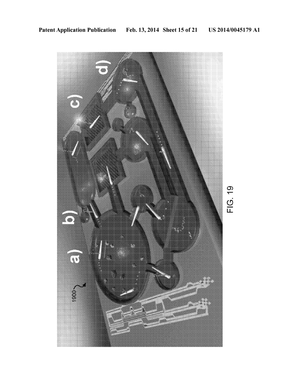 NANO/MICROSCALE VEHICLES FOR CAPTURE AND ISOLATION OF TARGET BIOMOLECULES     AND LIVING ORGANISMS - diagram, schematic, and image 16