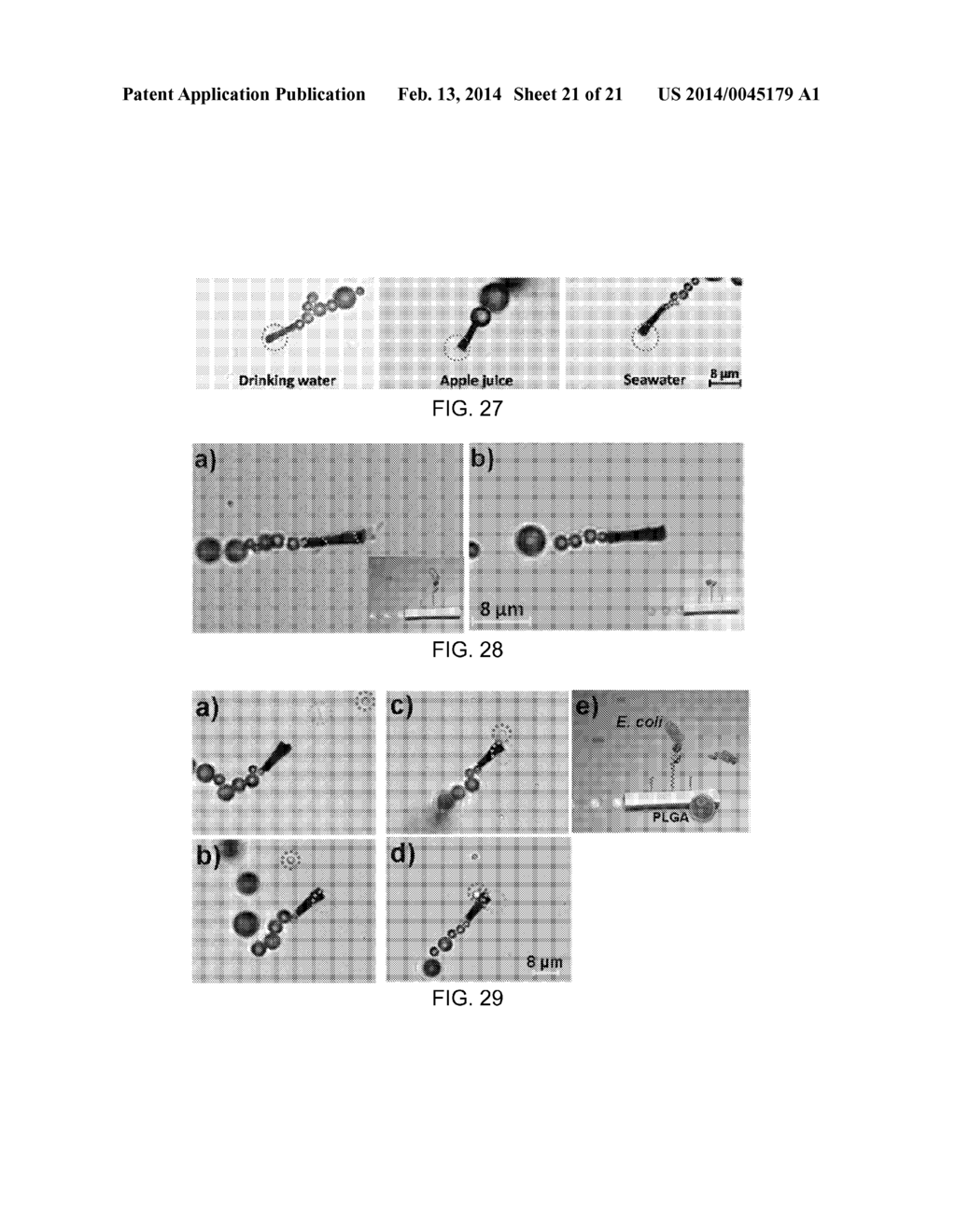 NANO/MICROSCALE VEHICLES FOR CAPTURE AND ISOLATION OF TARGET BIOMOLECULES     AND LIVING ORGANISMS - diagram, schematic, and image 22