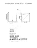 METHOD FOR DETECTING METHYLATION OF COLORECTAL CANCER SPECIFIC METHYLATION     MARKER GENE FOR COLORECTAL CANCER DIAGNOSIS diagram and image