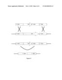 DICARBOXYLIC ACID PRODUCTION IN A FILAMENTOUS FUNGUS diagram and image