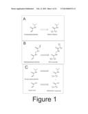 Method for Harvesting Nanoparticles and Sequestering Biomarkers diagram and image