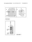 Method for Harvesting Nanoparticles and Sequestering Biomarkers diagram and image