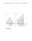 Method for Harvesting Nanoparticles and Sequestering Biomarkers diagram and image