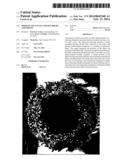 FIBER-ON-TIP CONTACT DESIGN BRUSH ASSEMBLIES diagram and image