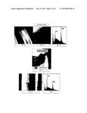 FIBER-ON-TIP CONTACT DESIGN BRUSH ASSEMBLIES diagram and image