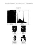 FIBER-ON-TIP CONTACT DESIGN BRUSH ASSEMBLIES diagram and image