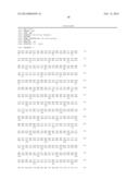 Continuous Fiber Layer Comprising an Active Substance on the Basis of     Bio-polymers, the Use Thereof, and Method for the Production Thereof diagram and image