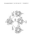 RECOMBINANT HUMAN FIBROBLAST GROWTH FACTOR-1 AS A NOVEL THERAPEUTIC FOR     ISCHEMIC DISEASES AND METHODS THEREOF diagram and image