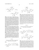 NUCLEOSIDE PHOSPHORAMIDATE PRODRUGS diagram and image