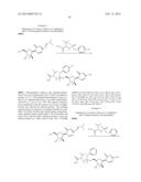 NUCLEOSIDE PHOSPHORAMIDATE PRODRUGS diagram and image