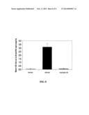 TRIAZOLOPYRIDINE COMPOUNDS AS PIM KINASE INHIBITORS diagram and image