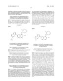 TRIAZOLOPYRIDINE COMPOUNDS AS PIM KINASE INHIBITORS diagram and image