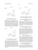 TRIAZOLOPYRIDINE COMPOUNDS AS PIM KINASE INHIBITORS diagram and image