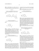 SUBSTITUTED 4-ARYL-N-PHENYL-1,3,5-TRIAZIN-2-AMINES diagram and image