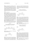 SUBSTITUTED 4-ARYL-N-PHENYL-1,3,5-TRIAZIN-2-AMINES diagram and image