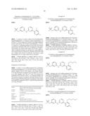 SUBSTITUTED 4-ARYL-N-PHENYL-1,3,5-TRIAZIN-2-AMINES diagram and image