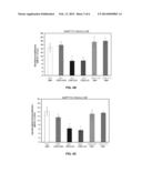 Muscarinic Agonists as Cognitive Enhancers diagram and image