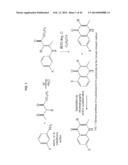 COMPOUNDS HAVING ANTIPARASITIC OR ANTI-INFECTIOUS ACTIVITY diagram and image