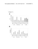 USE OF BUBR1 AS A BIOMARKER OF DRUG RESPONSE TO FURAZANOBENZIMIDAZOLES diagram and image