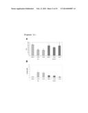 USE OF BUBR1 AS A BIOMARKER OF DRUG RESPONSE TO FURAZANOBENZIMIDAZOLES diagram and image