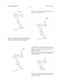 USE OF BUBR1 AS A BIOMARKER OF DRUG RESPONSE TO FURAZANOBENZIMIDAZOLES diagram and image
