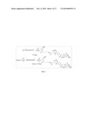 Folate Conjugates diagram and image