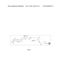 Folate Conjugates diagram and image