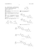 Folate Conjugates diagram and image