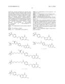 Folate Conjugates diagram and image