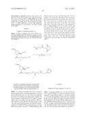 Folate Conjugates diagram and image