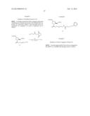 Folate Conjugates diagram and image