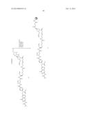 Folate Conjugates diagram and image