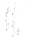 Folate Conjugates diagram and image