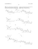 Folate Conjugates diagram and image