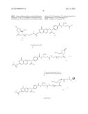 Folate Conjugates diagram and image