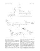 Folate Conjugates diagram and image