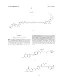 Folate Conjugates diagram and image