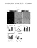 RECOMBINANT VIRUS PRODUCTS AND METHODS FOR INHIBITION OF EXPRESSION OF     MYOTILIN diagram and image