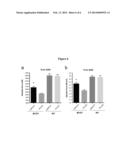 RECOMBINANT VIRUS PRODUCTS AND METHODS FOR INHIBITION OF EXPRESSION OF     MYOTILIN diagram and image