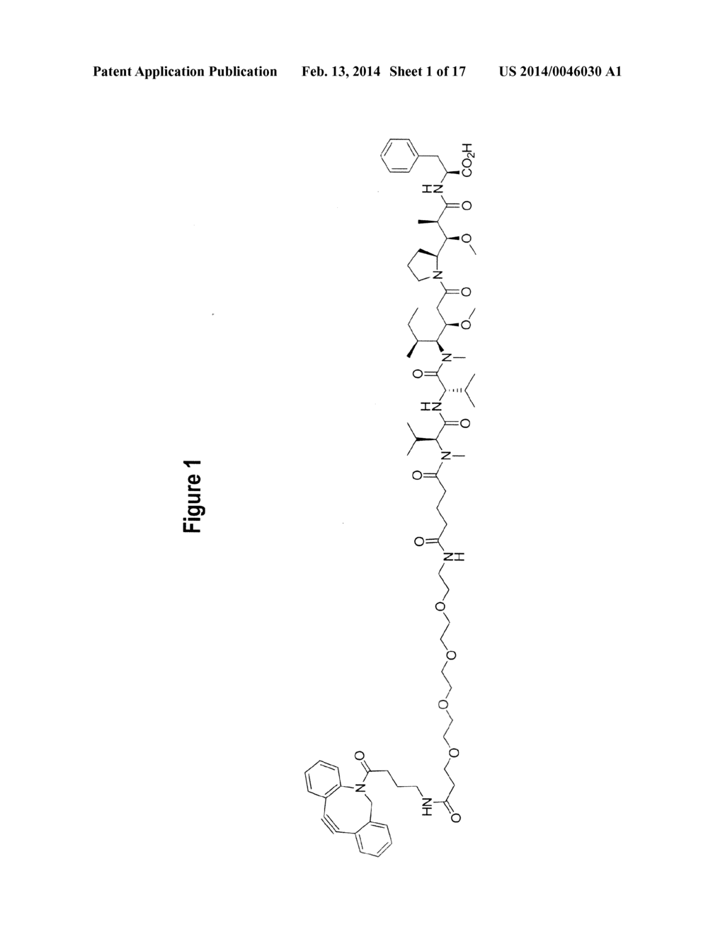 ANTIBODIES COMPRISING SITE-SPECIFIC NON-NATURAL AMINO ACID RESIDUES,     METHODS OF THEIR PREPARATION AND METHODS OF THEIR USE - diagram, schematic, and image 02