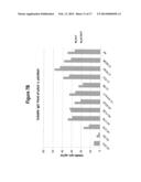 ANTIBODIES COMPRISING SITE-SPECIFIC NON-NATURAL AMINO ACID RESIDUES,     METHODS OF THEIR PREPARATION AND METHODS OF THEIR USE diagram and image