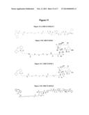 ANTIBODIES COMPRISING SITE-SPECIFIC NON-NATURAL AMINO ACID RESIDUES,     METHODS OF THEIR PREPARATION AND METHODS OF THEIR USE diagram and image