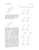 ANTIBODIES COMPRISING SITE-SPECIFIC NON-NATURAL AMINO ACID RESIDUES,     METHODS OF THEIR PREPARATION AND METHODS OF THEIR USE diagram and image