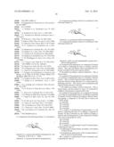 N-SUBSTITUTED MANNOSAMINE DERIVATIVES, PROCESS FOR THEIR PREPARATION AND     THEIR USE diagram and image