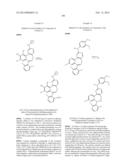 COMPOUNDS AND METHODS FOR INHIBITING MITOTIC PROGRESSION diagram and image