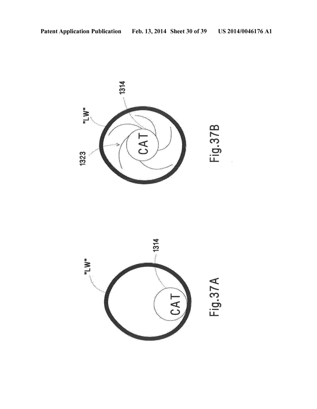 MICROWAVE ABLATION CATHETER AND METHOD OF UTILIZING THE SAME - diagram, schematic, and image 31