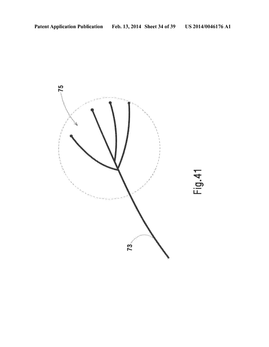 MICROWAVE ABLATION CATHETER AND METHOD OF UTILIZING THE SAME - diagram, schematic, and image 35