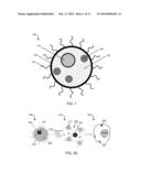 ACOUSTICALLY RESPONSIVE PARTICLES WITH DECREASED CAVITATION THRESHOLD diagram and image