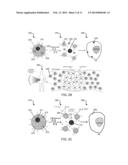 ACOUSTICALLY RESPONSIVE PARTICLES WITH DECREASED CAVITATION THRESHOLD diagram and image