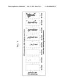 MESOSCOPIC TUMOR MICROENVIRONMENT IMAGING WITH IMPROVED CONTRAST diagram and image